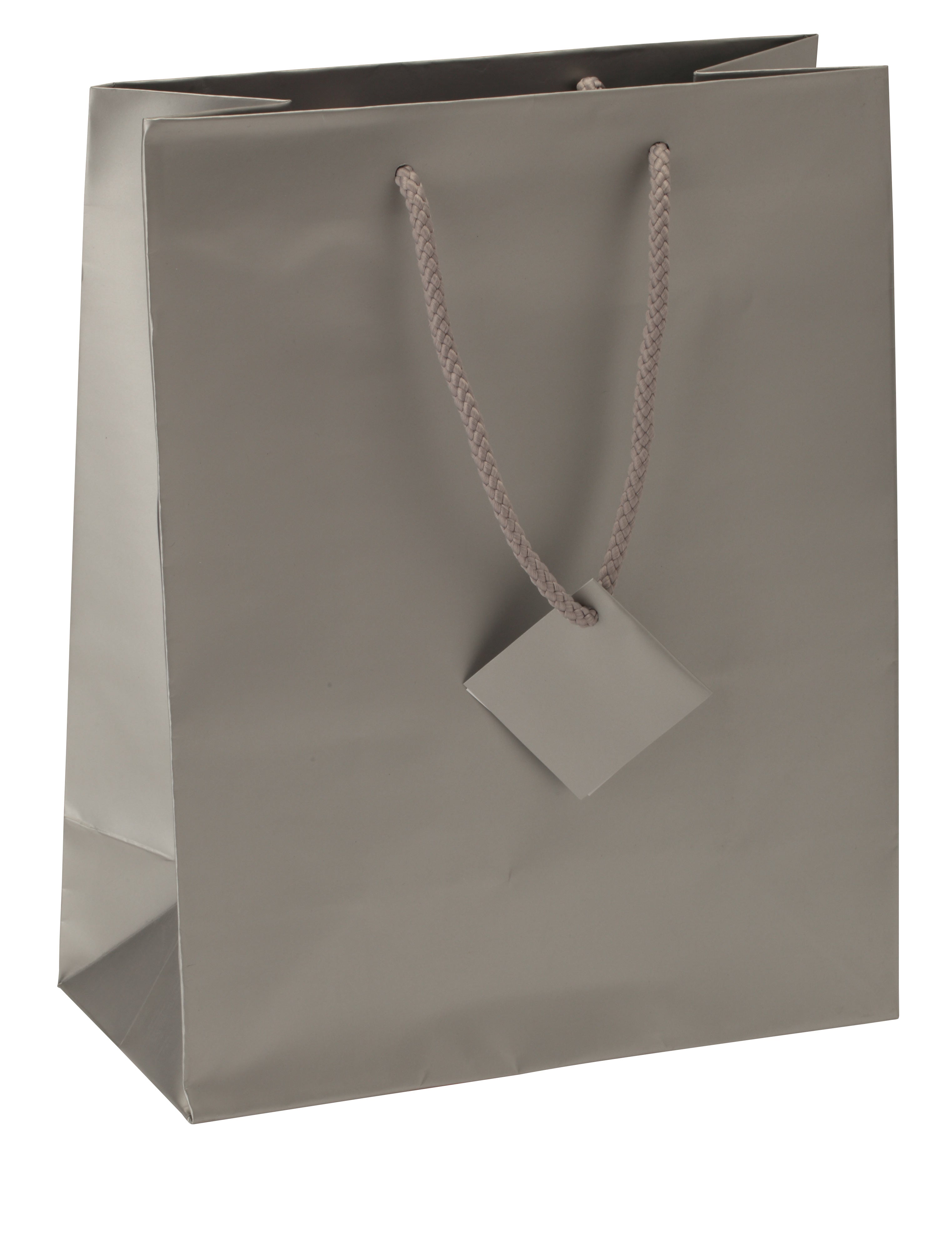 Satin-Finish Tote-Style Gift Bags in Silver Frost