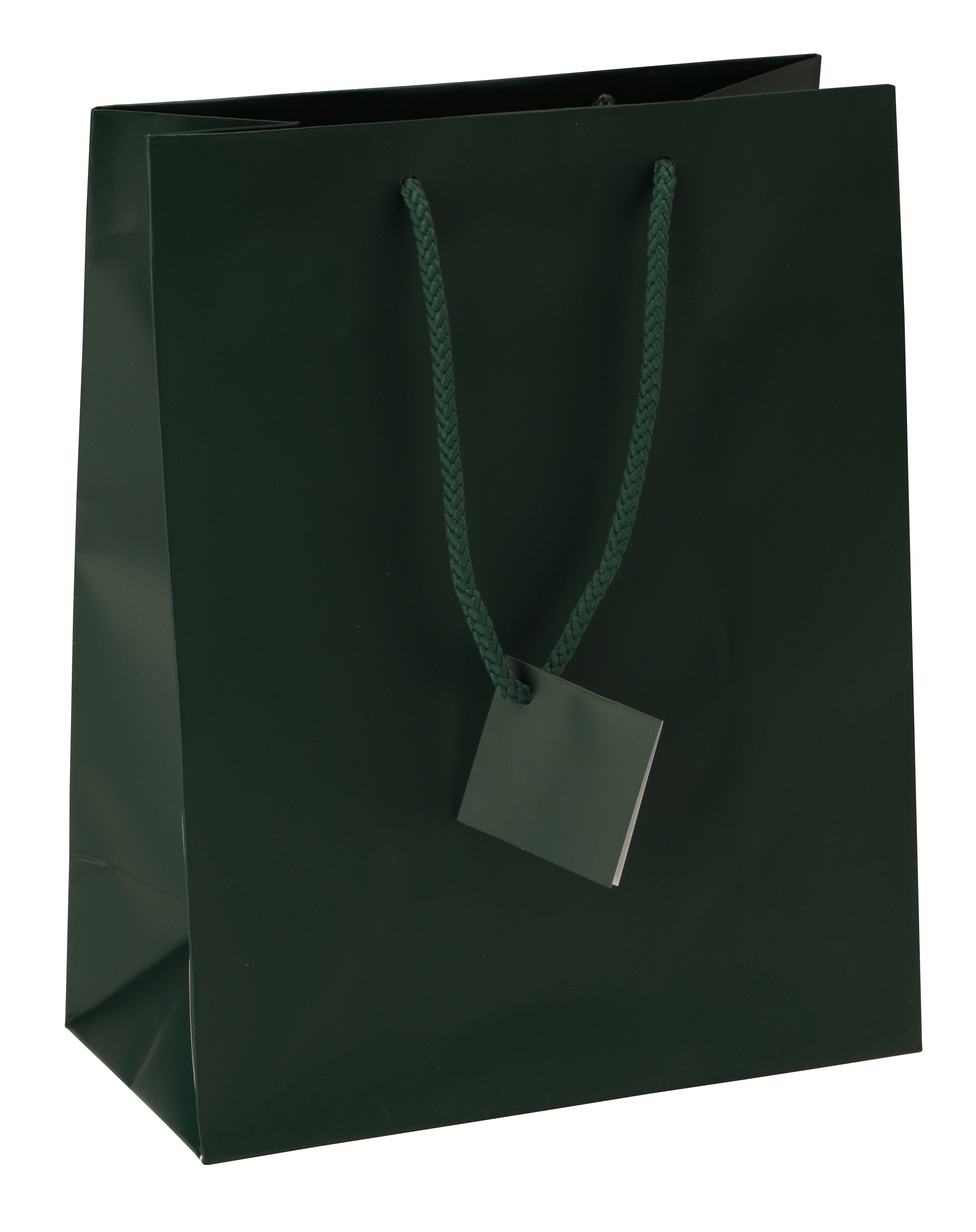 Satin-Finish Tote-Style Gift Bags in Jade Green