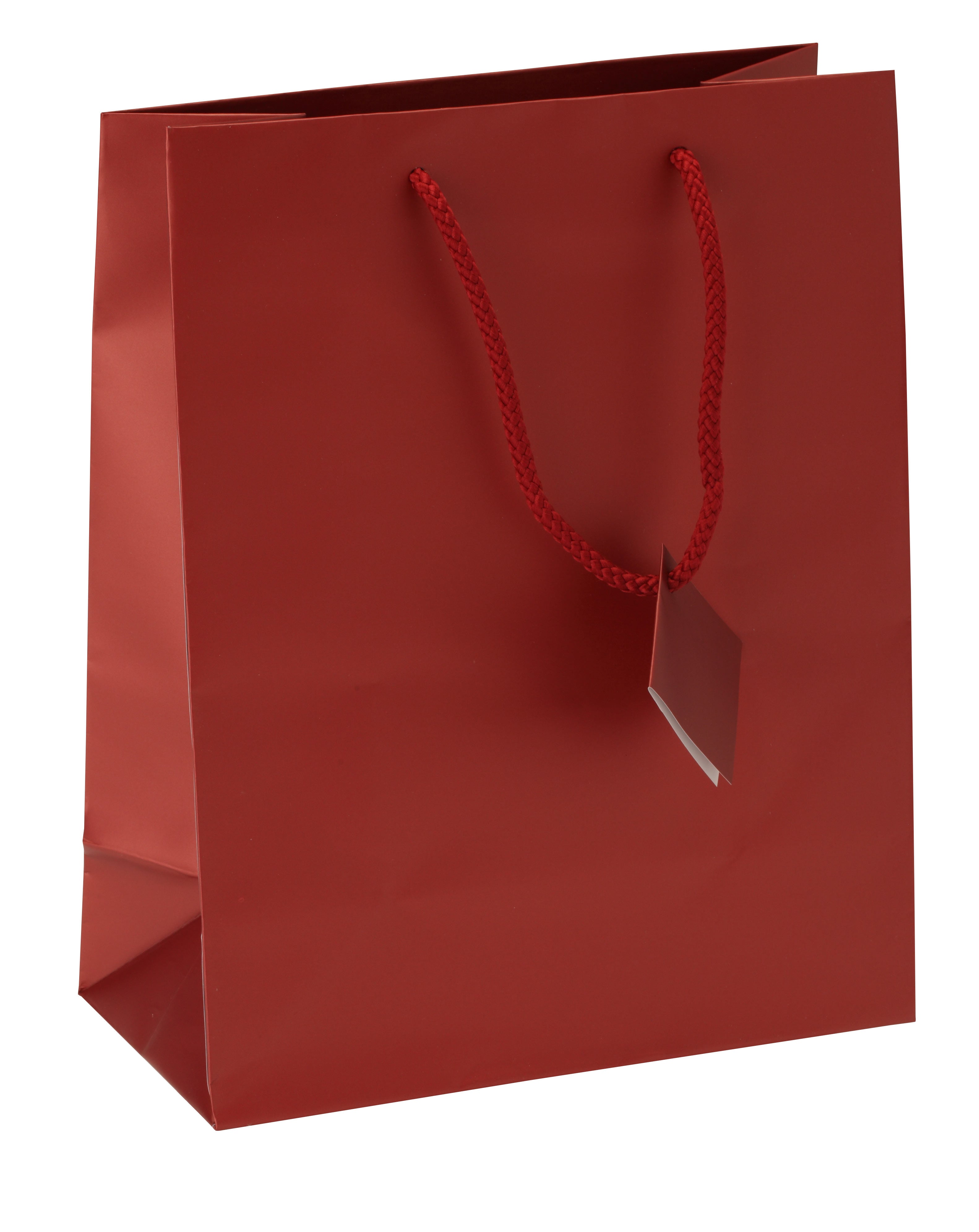 Satin-Finish Tote-Style Gift Bags in Brick Frost