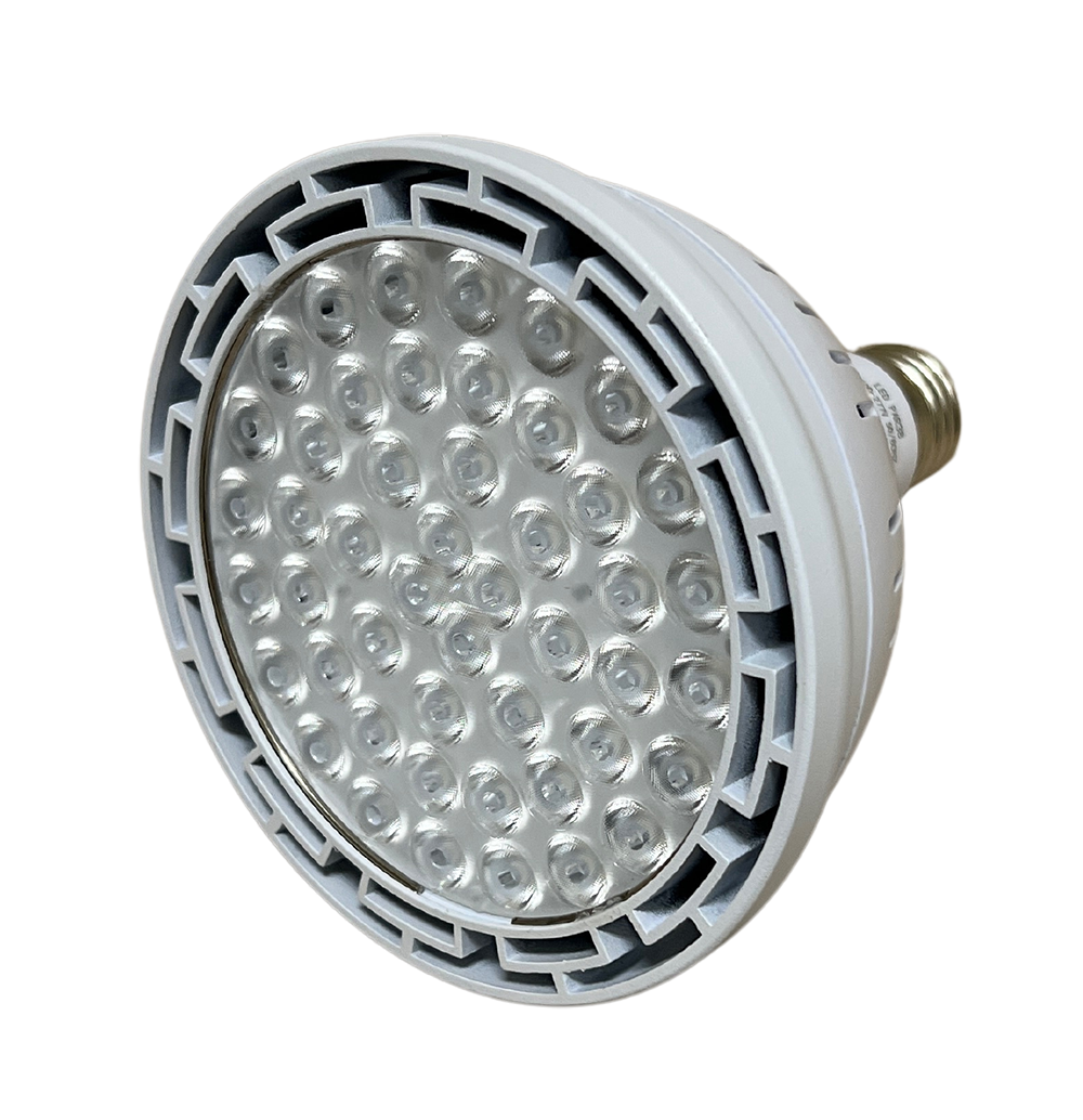 Braxon PAR38 LED Bulb (55W/45°)