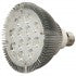 Braxon PAR38 LED Bulb (24W/30&deg;)