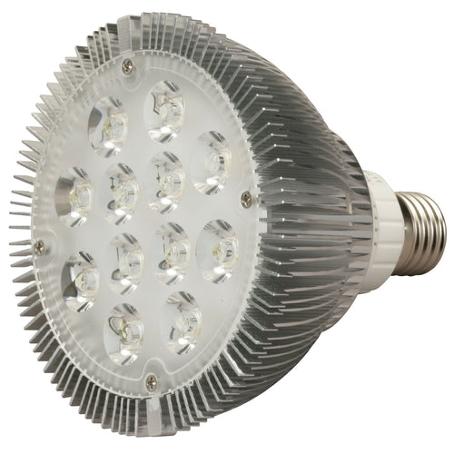 LED PAR Natural Daylight Bulb 6000K-6500K