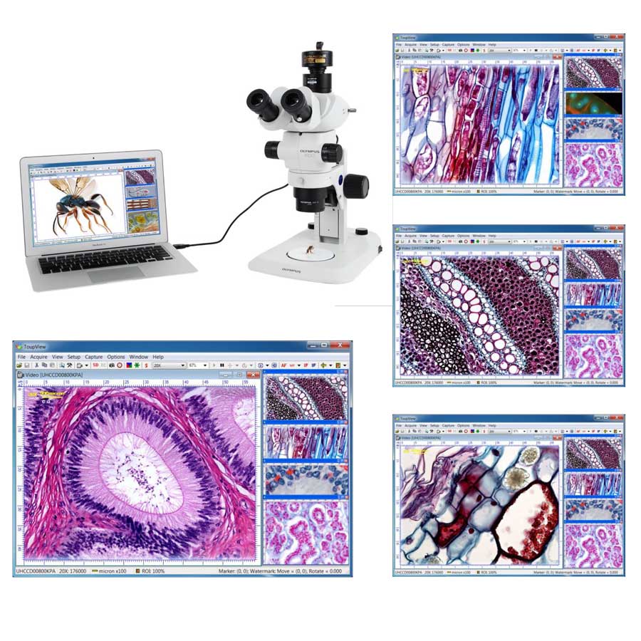 Microscope C-Mount Digital Camera w/ Lens Adapter Plus Measurement Software